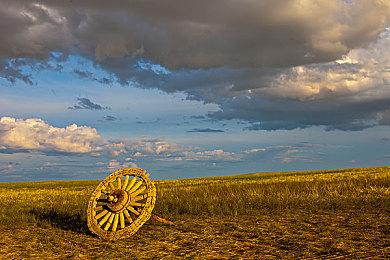 管理猫咪家园《喵星总动员》将于8月17日Steam开测